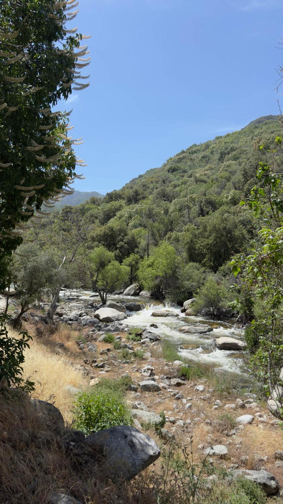 Paradise Ranch Inn - Liberated Tent Three Rivers Buitenkant foto